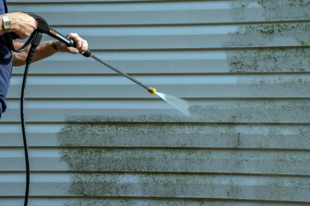 Best Pressure Washing Near Me  in Chrisman, IL
