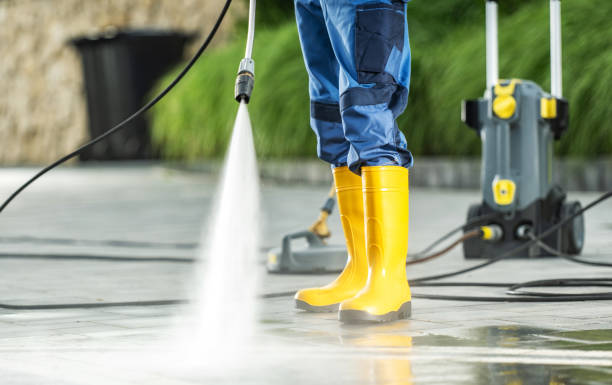 Best Roof Power Washing Services  in Chrisman, IL