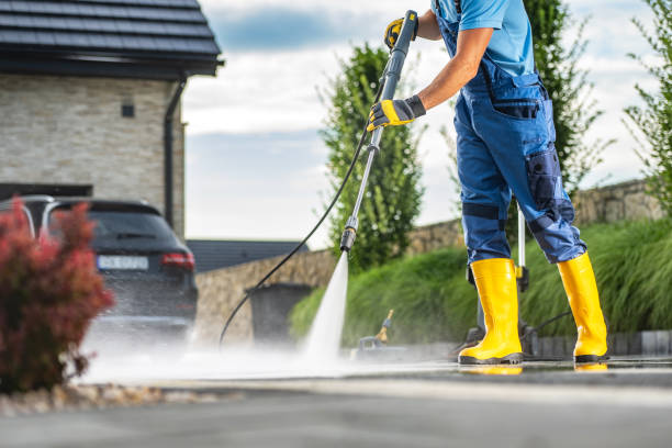 Best Affordable Power Washing  in Chrisman, IL