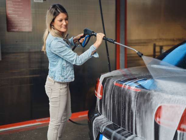 Best Affordable Power Washing  in Chrisman, IL