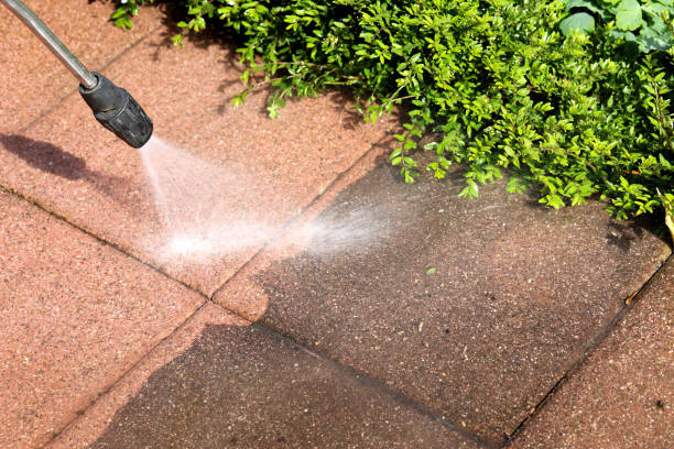 Best Roof Power Washing Services  in Chrisman, IL
